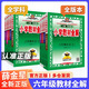 【正版當(dāng)天發(fā)貨】2025版小學(xué)教材全解 六年級(jí)上冊(cè) 數(shù)學(xué) 人教版