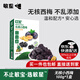敏星無(wú)核小西梅無(wú)添加休閑零食去核西梅果干100g送敏寶寶兒童食譜 無(wú)核小西梅100g*1盒