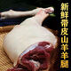 新鮮帶皮羊后腿帶骨羊前腿正宗農(nóng)家散養(yǎng)山羊肉批發(fā)后腿肉 帶皮羊后腿5斤