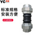 京純橡膠活接頭絲扣軟連接可曲撓橡膠接頭內螺紋軟接風(fēng)機軟管減震接頭 DN50- 2寸16公斤