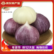 玉燕妃云南紫皮獨(dú)頭蒜大果特大果助農(nóng)產(chǎn)品生鮮蔬菜干蒜 2.2-2.9cm獨(dú)頭蒜 3斤