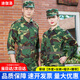 迪伽洛軍訓(xùn)服迷彩服裝全套初高中大學(xué)生夏季軍訓(xùn)服短袖套裝外套訓(xùn)練服 草綠【外套+長褲+帽子+腰帶】 175  (適合身高170-175CM）