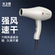 火之鳳吹風(fēng)機理發(fā)店專(zhuān)用 電吹風(fēng)筒 負離子2200W大功率發(fā)廊大風(fēng)力速干家用高速恒溫護發(fā)不傷發(fā)8960 8960H米蘭白(2400W)