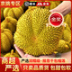 田拾記泰國(guó)金枕榴蓮【JD/順豐閃送丨多地次日達(dá)】新鮮金枕頭水果送禮品 30年老樹果丨香甜軟糯 4-5斤 包4-5房【果肉中等80%人選】