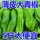 【超低價】新鮮薄皮辣椒青椒杭椒蕪湖現(xiàn)摘微辣虎皮現(xiàn)摘蔬菜批發(fā) 當天現(xiàn)摘現(xiàn)發(fā)【壞果包賠】新鮮直達 1g 農戶現(xiàn)摘青椒丨凈重3斤【精品級】店長力薦