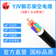 國超電纜 YJV-0.6/1KV-4*6銅芯國標架空戶外防老化4芯電力電纜 1米【現(xiàn)貨】