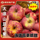 【大涼山丑蘋(píng)果】四川鹽源大涼山糖心丑蘋(píng)果新鮮采摘水果包郵 2斤【單果60mm+】試吃嘗鮮