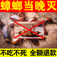 蟑螂藥特效強力全窩端除蟲(chóng)卵雙殺滅家用驅丸粘板噴霧日本進(jìn)口神器 6枚一盒裝【全屋驅蟑螂+連環(huán)滅殺】