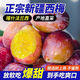 新疆喀什西梅特產(chǎn)3斤中大果新鮮水果當季現摘精品禮盒裝順豐發(fā)貨 喀什西梅3斤大果22g+新疆發(fā)