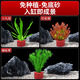 瘋狂水草魚缸水草凈化水質套餐蜈蚣草陰性水草浮萍植物活體水培 【免種植】蜈蚣草+小九冠+紅松尾