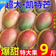 四川攀枝花凱特芒果禮盒裝 新鮮一級(jí)果王當(dāng)季水果特大甜芒現(xiàn)貨 5斤裝（單果400g-500g） 【一級(jí)果王】