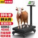 超歐輪子秤電子秤商用多功能臺稱(chēng)重秤家用臺秤電子稱(chēng)豬牛羊精準大型磅稱(chēng)工業(yè)倉庫搬貨可折疊滾輪電子稱(chēng) 【600kg不銹鋼表頭】帶輪可折疊大臺面45*60