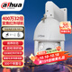 dahua大華球機攝像頭 360度無(wú)死角紅外夜視150米監控 23倍32倍40倍光學(xué)變焦人臉檢測 自動(dòng)巡航室外防水 SD6432-D2-i【400萬(wàn)32倍變焦】