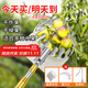 EVANLEY摘果神器伸縮桿摘柿子楊梅李子杏子荔枝摘果芒器高空采摘水果工具 【升級加固款】10米不銹鋼摘果器