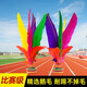 TLXT毽子運動(dòng)專(zhuān)用成人比賽兒童小學(xué)生腱子耐踢鵝毛毽球大花毽 【新款升級】大花毽2只裝