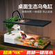爬將軍烏龜飼養(yǎng)缸生態(tài)造景養(yǎng)龜帶曬臺爬臺塑料飼養(yǎng)箱別墅帶蓋龜缸魚缸 30缸+曬臺+綠植
