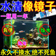 魚(yú)缸凈水劑魚(yú)缸水質(zhì)養魚(yú)凈化劑清澈劑不換水除腥臭變清水質(zhì)調理劑 一瓶裝