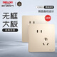 德力西（DELIXI） 開關(guān)插座面板CD821系列香檳金色暗裝插座二三插墻壁電源無(wú)框大板 斜五孔插座10只裝