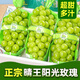四川陽光玫瑰葡萄 新鮮水果整箱 中秋送禮 團購 茉莉香印晴王青提 5斤裝（凈果4斤）單果8g+ JD/順豐快遞 送貨上門