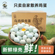 憶鄉嶺散養烏雞蛋綠殼蛋  農家山林喂養初生鮮土雞蛋單枚40±5g 30枚