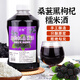 甘偉桑葚黑枸杞糯米酒農(nóng)家自釀低度微醺鮮果原汁酒釀純糧食發(fā)酵酒2斤