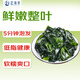 趕海弟 裙帶菜255g 鹽漬鮮嫩大葉片泡發(fā)快 海白菜 蝦皮湯涼拌菜火鍋食材