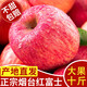 時令蘋果水果煙臺棲霞紅富士脆甜蘋果整箱批發(fā)新鮮蘋果煙臺特產(chǎn) 大果85果【毛重約10斤】