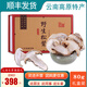 云耳云南香格里拉松茸干片 80g高海拔山珍 干貨松茸禮盒 特產(chǎn)團購送禮