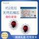 TEUCER925銀耳釘女榴石韓版簡(jiǎn)約天然水晶耳飾品氣質(zhì)生日禮物送女友母親 戴妃石榴石耳釘+精美禮盒