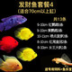 樂(lè )淘逸寵樂(lè )淘逸寵鸚鵡魚(yú)地圖戰船魚(yú)紅尾皇冠財神淡水熱帶觀(guān)賞魚(yú)活體 發(fā)財魚(yú)套餐四共13條魚(yú)發(fā)順豐