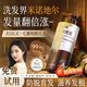 JOBALIN防脫洗發(fā)水生姜固發(fā)脫發(fā)滋養強發(fā)根側柏葉育發(fā)增密發(fā)500ml金榜第1