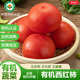 京地達河北有機番茄西紅柿凈重2400g單盒300g有機蔬菜源頭直發(fā)包郵