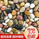 大海邊【12倉速發(fā)】5斤鵝卵石鋪路鋪地庭院園林造景天然大小石頭雨花石 水洗五彩1.0-2.0cm【5斤裝】