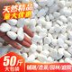 大海邊【12倉速發(fā)】 50斤白石子鵝卵石鋪面石園藝盆栽造景庭院鋪路花園 50斤無(wú)粉精品白石【1.0-2.0cm】