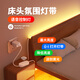欣朵床頭氛圍燈帶臥室客廳背景墻裝飾led燈條主臥懸浮床底離線語音燈 2米裝-10W-語音按鍵雙控制