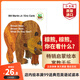 弘書(shū)閣啟蒙英語(yǔ)繪本 brown bear 好餓的毛毛蟲(chóng)DearZoo我是小兔拍拍小兔晚安月亮小玻在哪里獵熊猜猜我有多愛(ài)你 my dad my mum英文原版 英文繪本 【送音頻】棕熊你在看什么