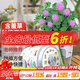 德沃多肥料DIY兒童趣味種植盆栽套裝含羞草種子學(xué)生植物觀(guān)察杯六一兒童節
