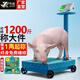 今選（JINXUAN） 充電稱重落地電子秤商用臺秤磅秤高精度擺攤賣菜電子稱貨物計價大型工業(yè)用計數(shù)快遞秤 輪子秤600公斤45*60特厚加粗架