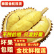 鮮惠源 泰國進(jìn)口金枕頭 榴蓮鮮果 巴掌榴蓮 新鮮生鮮水果整顆帶殼 精選鮮果凈重4.3-5.3斤（1-2個(gè)包4房）