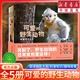 【全5冊(cè)】可愛的野生動(dòng)物 超清攝影大圖趣味故事自然科普知識(shí)動(dòng)物生活常識(shí)習(xí)性野生動(dòng)物的日常真實(shí)記錄合集 重慶新華正版