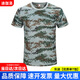 迪伽洛軍訓服迷彩服裝全套初高中大學(xué)生夏季軍訓服短袖套裝外套訓練服 灰迷【優(yōu)質(zhì)單T恤】 175  (適合身高170-175CM）