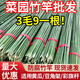 大海邊 竹竿菜園搭架豆角黃瓜番茄爬藤架園藝籬笆圍欄旗桿小竹子 2cm粗2米長(cháng)（50根）