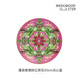WEDGWOOD[停產(chǎn)]漫游美境20cm餐盤(pán)骨瓷盤(pán)子餐具餐盤(pán)歐式西餐盤(pán)菜盤(pán) 粉紅荷花餐盤(pán) 1個(gè) 20cm