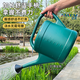 泛彩澆水壺長(cháng)嘴家用大容量噴頭花灑噴壺菜園種菜農用灑水壺淋花澆花桶 復古綠10升【加1個(gè)備用花灑頭】