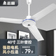 志高CHIGO吊扇黑色遙控工業(yè)扇大風(fēng)力家用白色電風(fēng)扇商用客廳吊頂風(fēng)扇強力輕音吊扇電風(fēng)扇【限時特購】 40寸-扇葉直徑1米-機械白-三葉