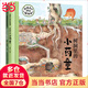【當(dāng)當(dāng)】當(dāng)當(dāng)小藥童的秘密花園（套裝全兩冊(cè)，含：樹(shù)洞里的小藥童、小藥童植物圖鑒）