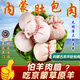 SOXW肚包肉正宗內蒙古特產(chǎn)肚包肉羊包肉羊肉腸手工新鮮真空包裝 肚包羊肉+腸包羊肉各1斤+韭菜醬
