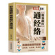 彩繪圖解 簡單敲打通經(jīng)絡(luò) 中醫(yī)養(yǎng)生書籍 中醫(yī)推拿人體經(jīng)絡(luò)穴位按摩大全