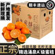 壹萌果蔬臨海涌泉蜜桔【順豐-多地次日達】蜜桔橘子水果中秋禮盒禮品 【金獎-老樹(shù)果王】丨果徑70-80MM【爆甜多汁】 10斤裝【家庭暢享-蕞蕞劃算】?jì)?斤