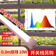 遠波  植物燈T8全光譜補光燈燈管室內培種植生長燈全光譜太陽光  0.3m雙排 10W（開關線另購）